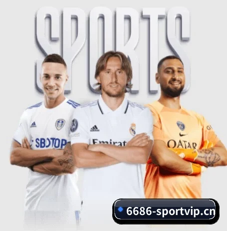 6686体育sportvip APP 界面